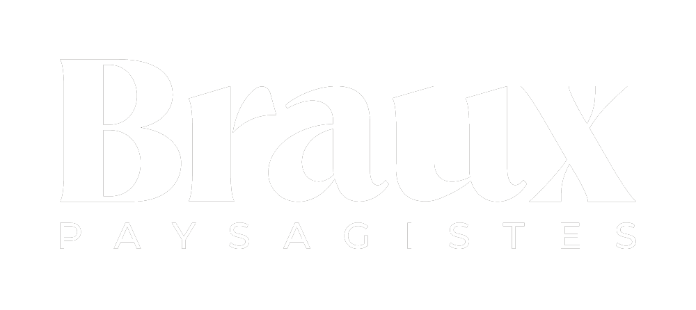 Логотип Braux SA